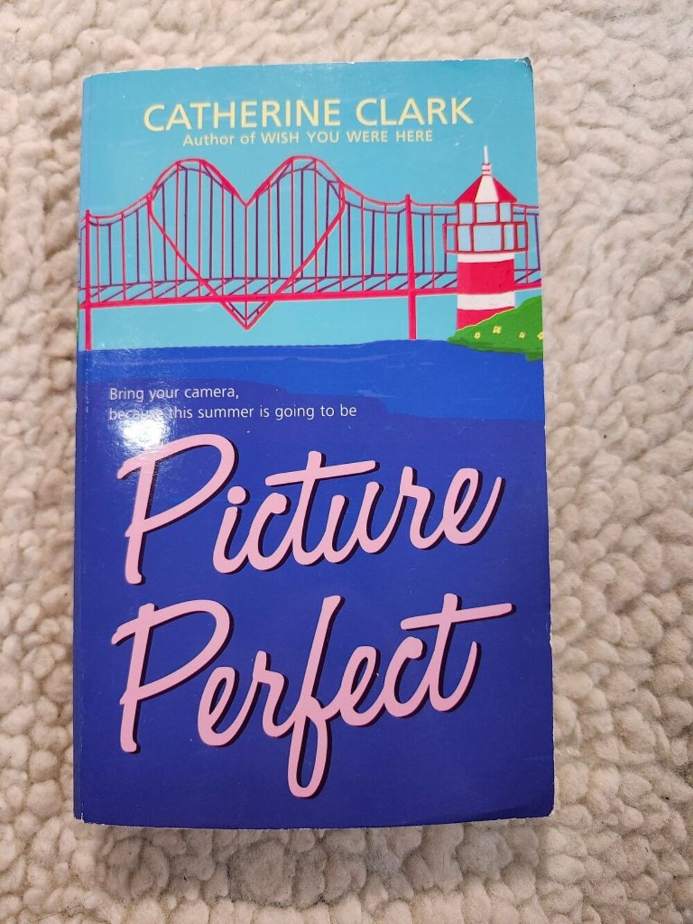 Catherine Clark Picture Perfect Paperback 2008 HarperTeen YA First Edition